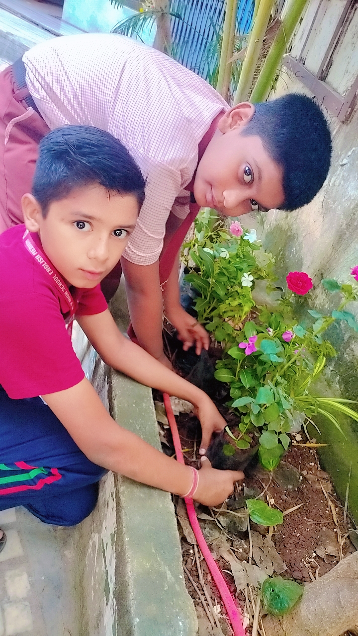 Environment Day 2026-2027 — photo 2